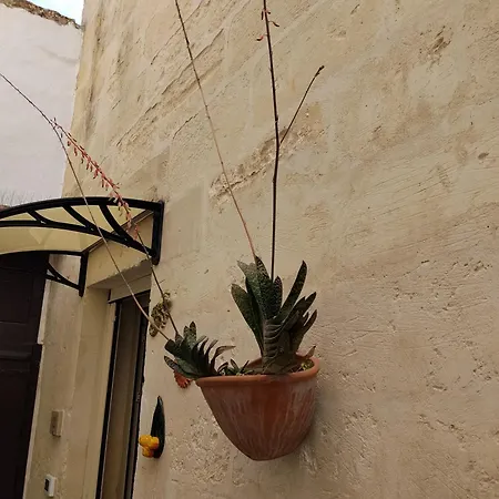 A Casa Di Marisa * Casamassella
