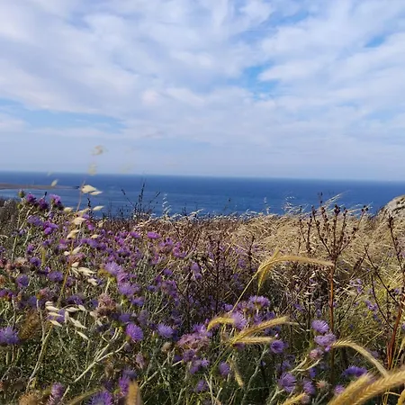 A Casa Di Marisa *